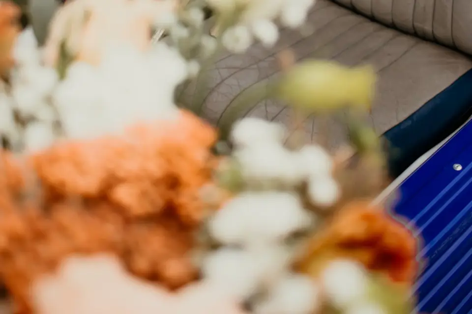 Enelos Visual — photo 8