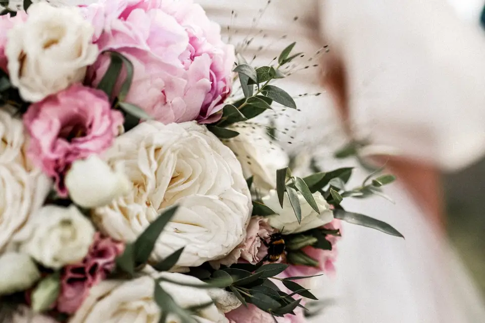 Paula Moreno — photo 1