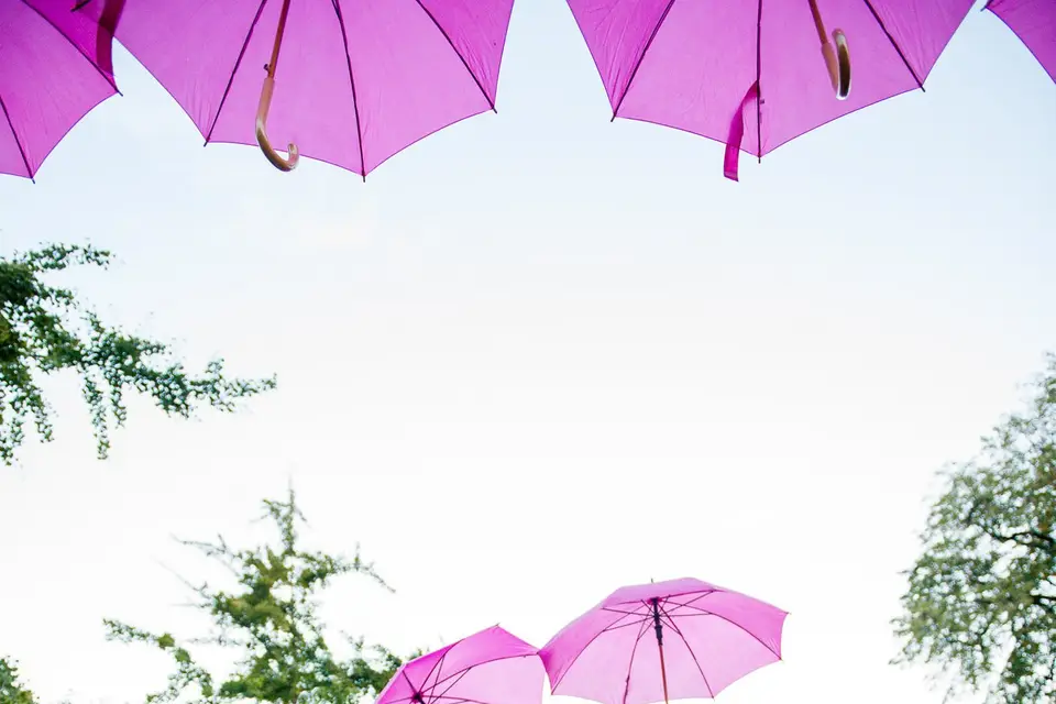 Alex Wright Photography — photo 5