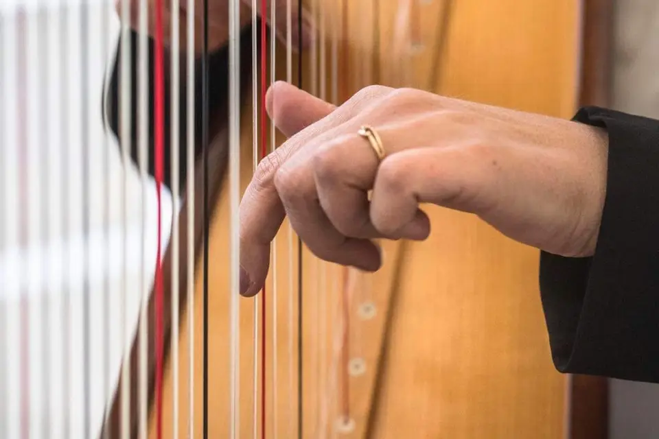 Catherine Dubois Harpe Prestige — photo 7