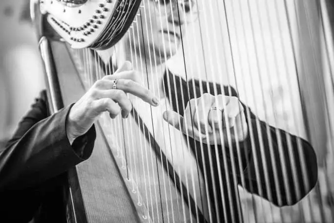 Catherine Dubois Harpe Prestige — photo 6