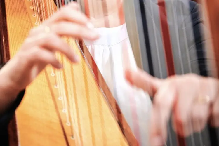 Catherine Dubois Harpe Prestige — photo 2