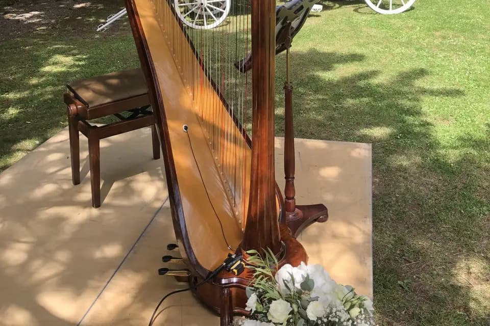 Catherine Dubois Harpe Prestige — photo 3