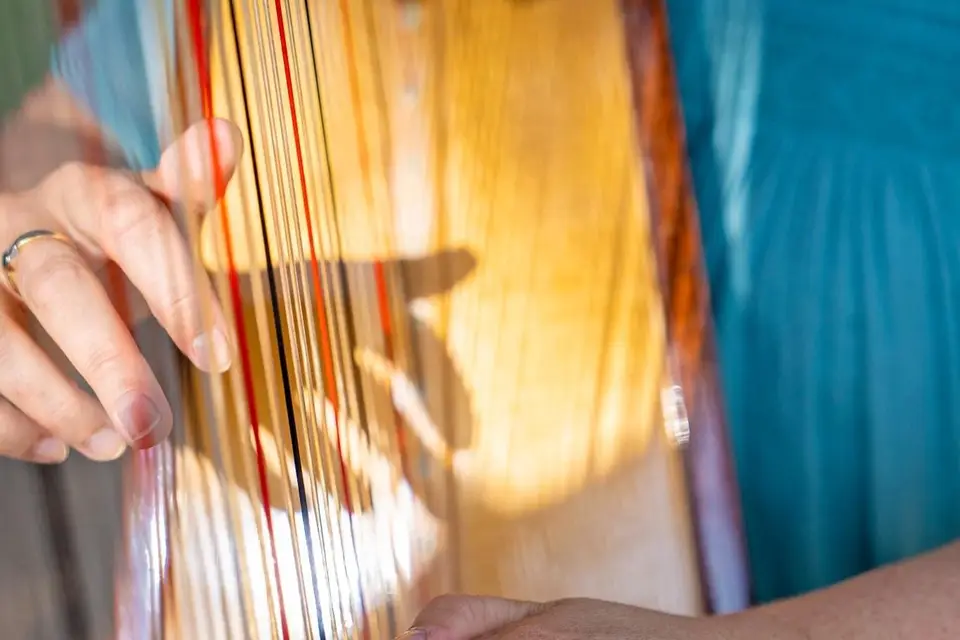 Catherine Dubois Harpe Prestige — photo 5