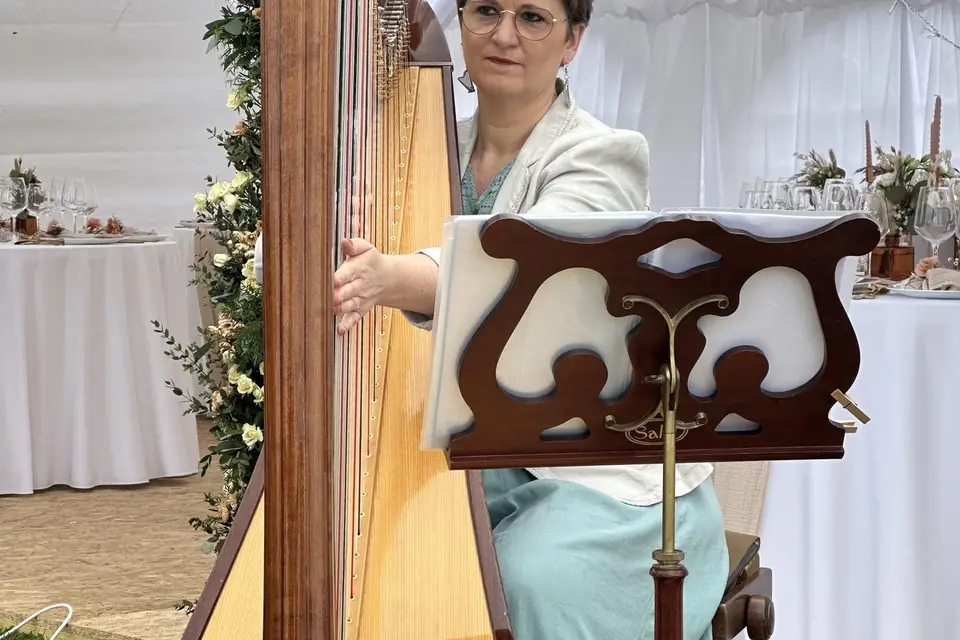 Catherine Dubois Harpe Prestige — photo 4
