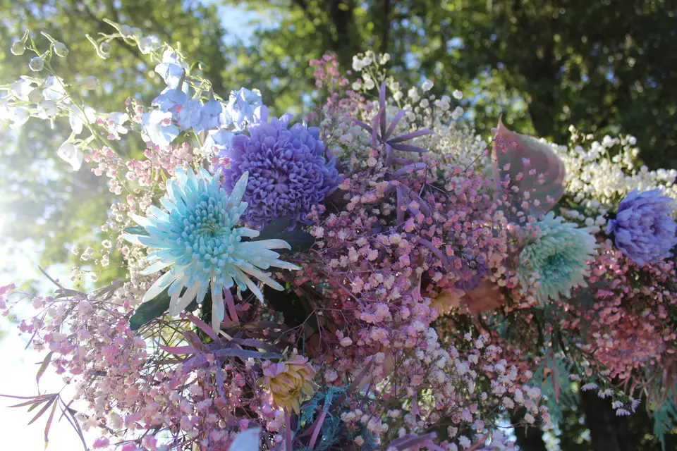 Kraft Fleurs & Jouets — photo 6