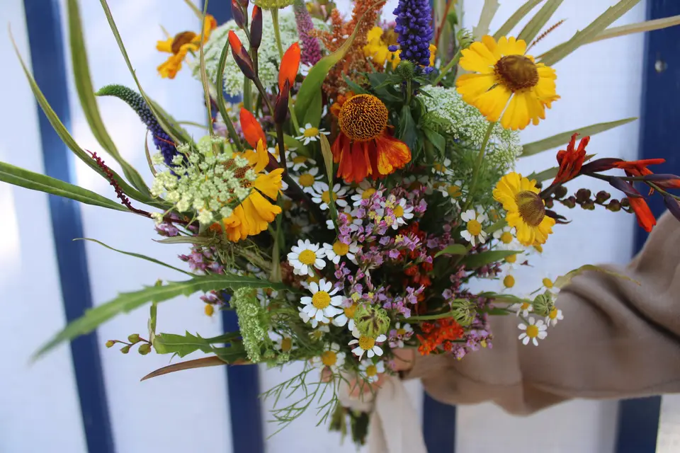 Kraft Fleurs & Jouets — photo 7