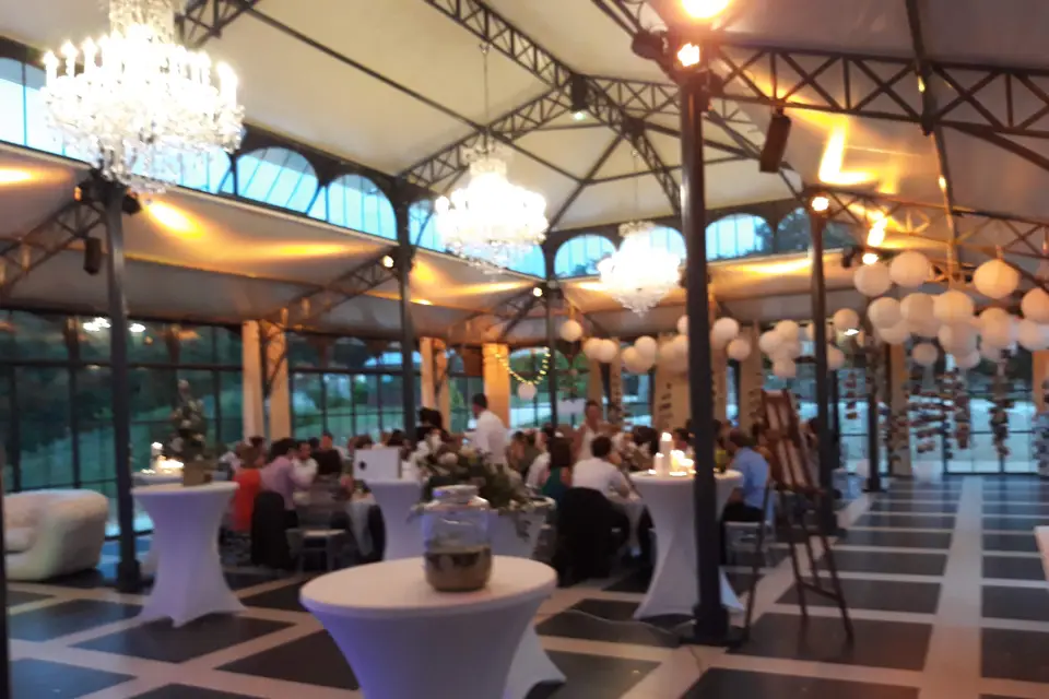 FL Organisation — photo 8