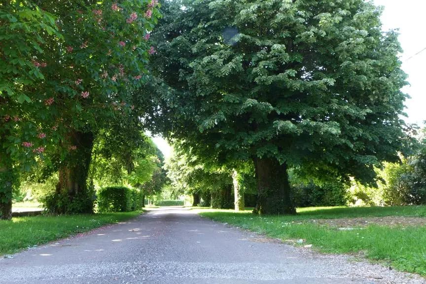 Hôtel de la Vinaigrerie — photo 8