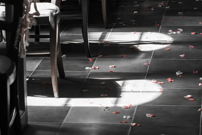 Greg Niro Photography — photo 8