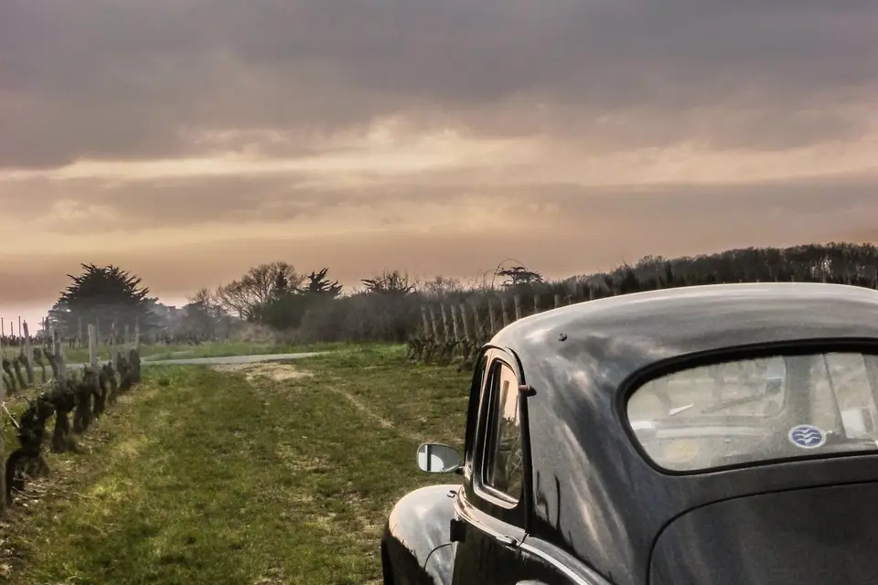 Rétro Émotion — photo 3