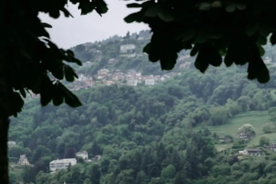 Yippee Events — photo 5