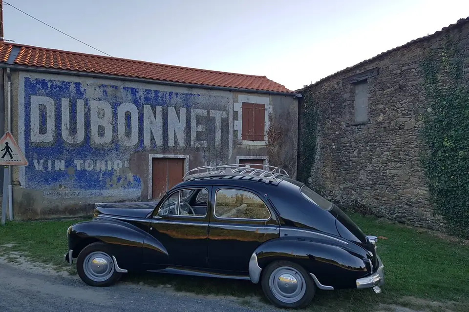 Toujours 203 — photo 2