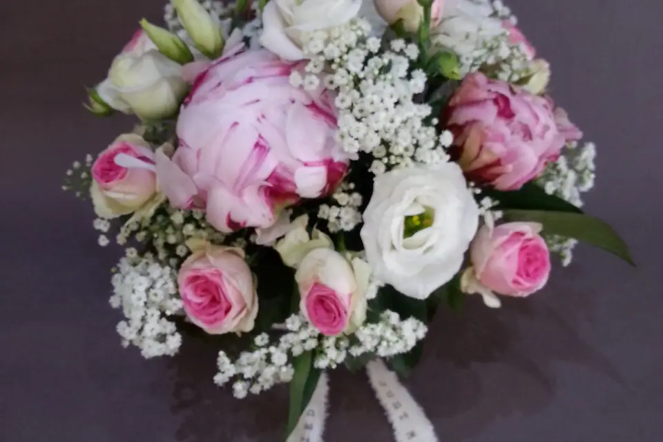 Agapanthe — photo 8