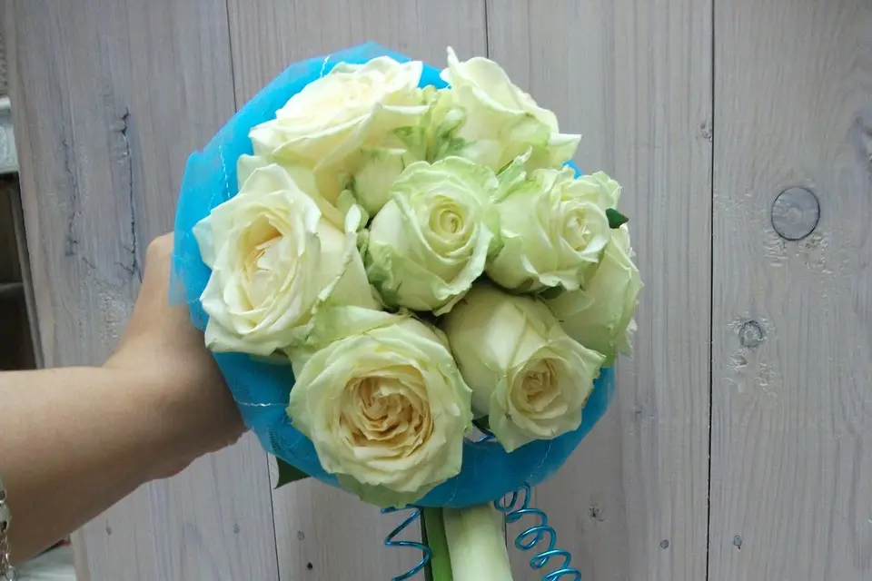 Agapanthe — photo 1