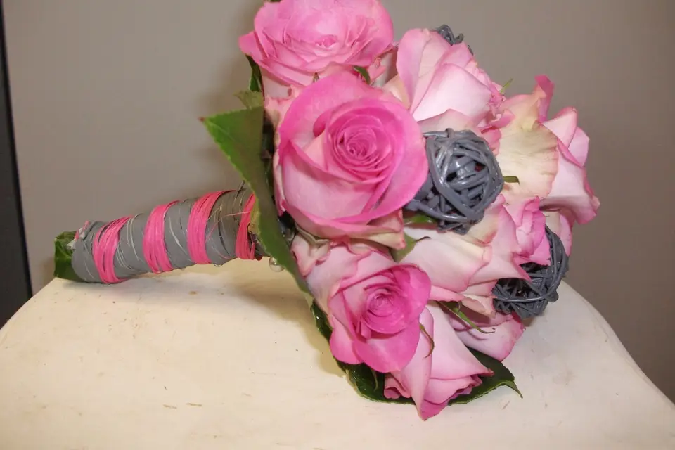 Agapanthe — photo 4