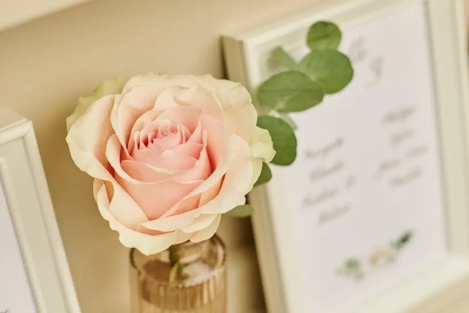 Ma Déco Chic — photo 4