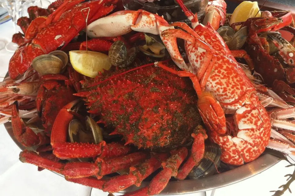 Aigrette — photo 6