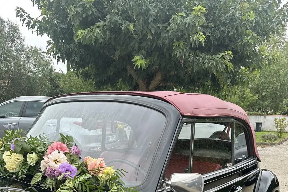 POESIE FLEURIE — photo 8