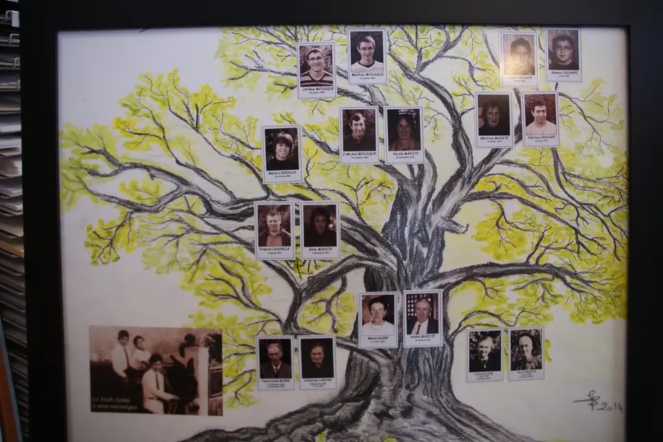 Lézard Créatif — photo 5