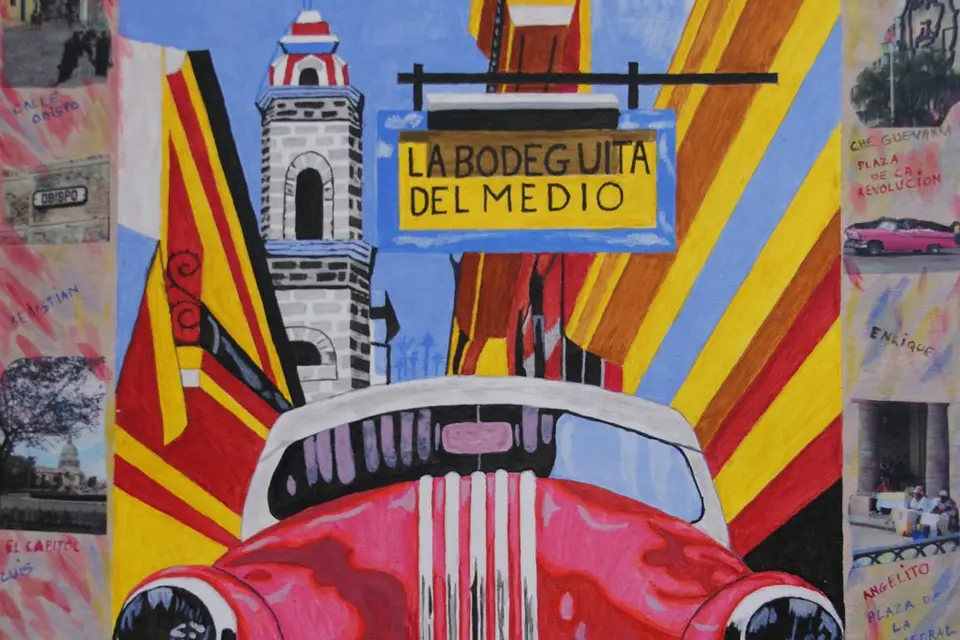 Lézard Créatif — photo 4