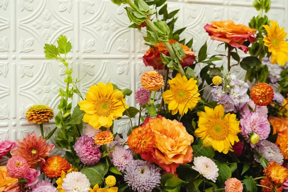 Lyséïa — photo 8