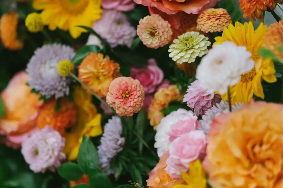 Lyséïa — photo 4