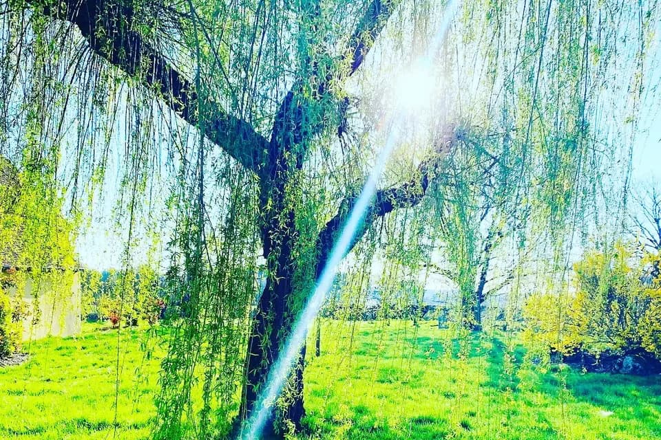 Le Hameau de la Fausse Sauge — photo 1