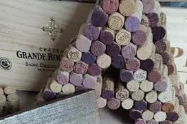 Lily & Bro — photo 8