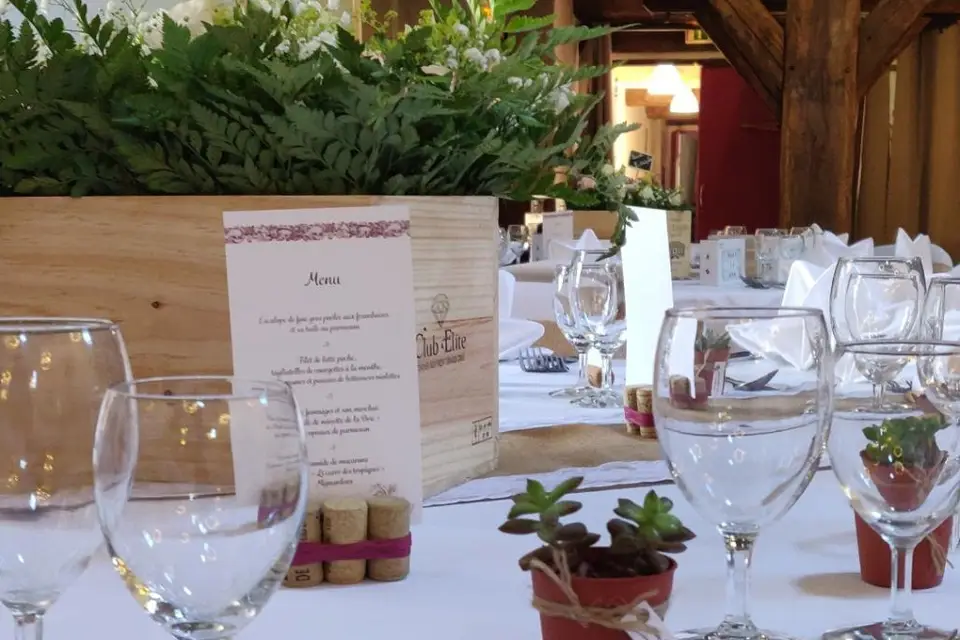 Lily & Bro — photo 1