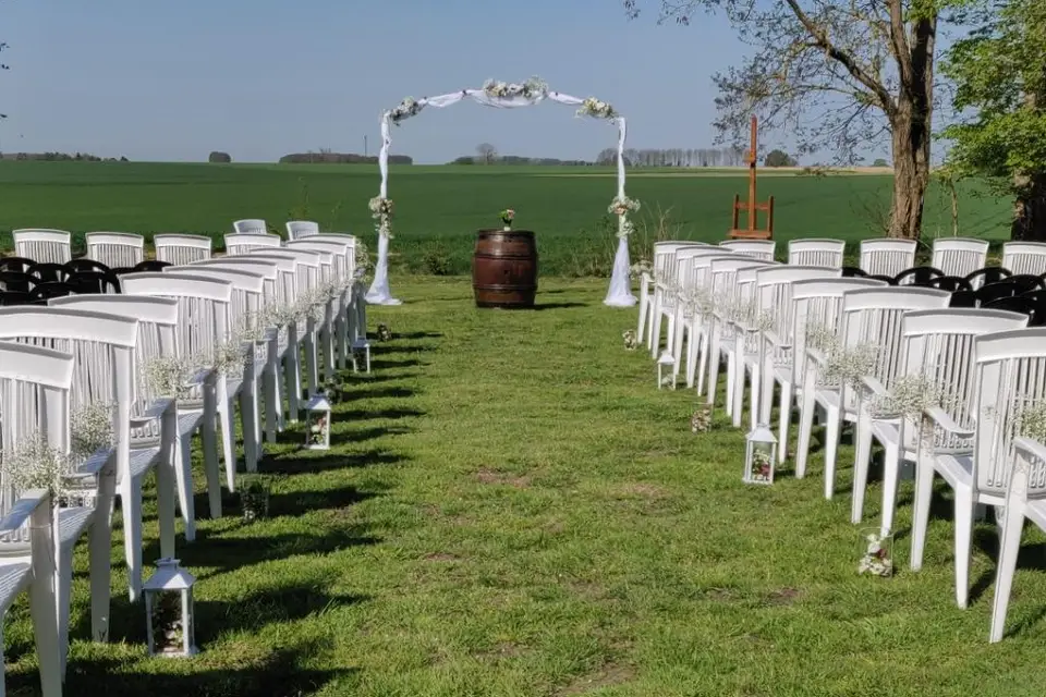 Lily & Bro — photo 2