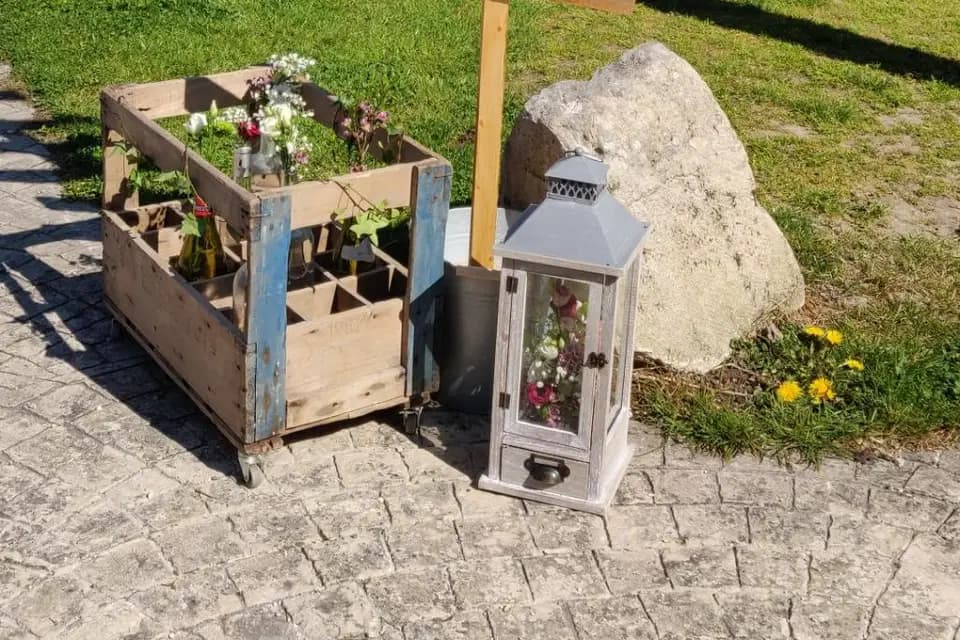 Lily & Bro — photo 4