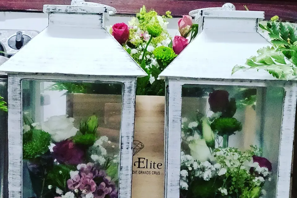 Lily & Bro — photo 7