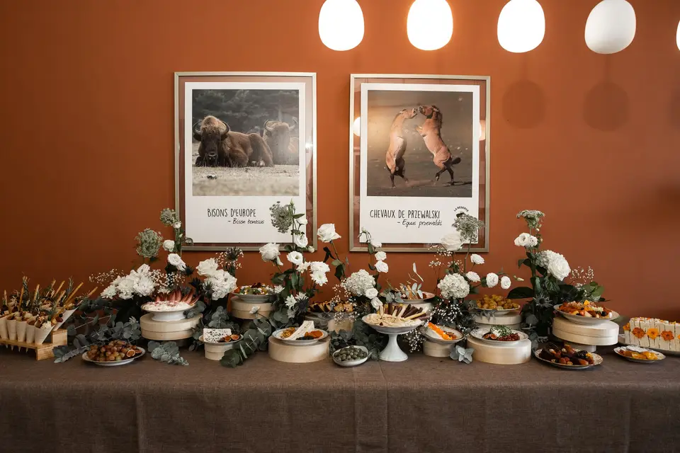 PlanchaLita — photo 3