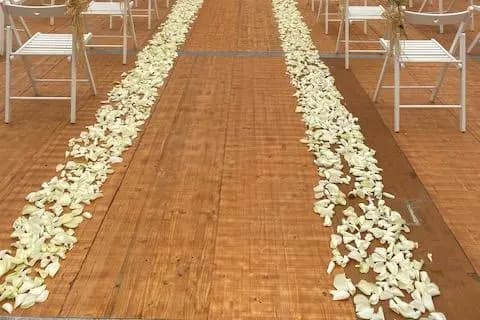 Orchidée Fleurs — photo 8