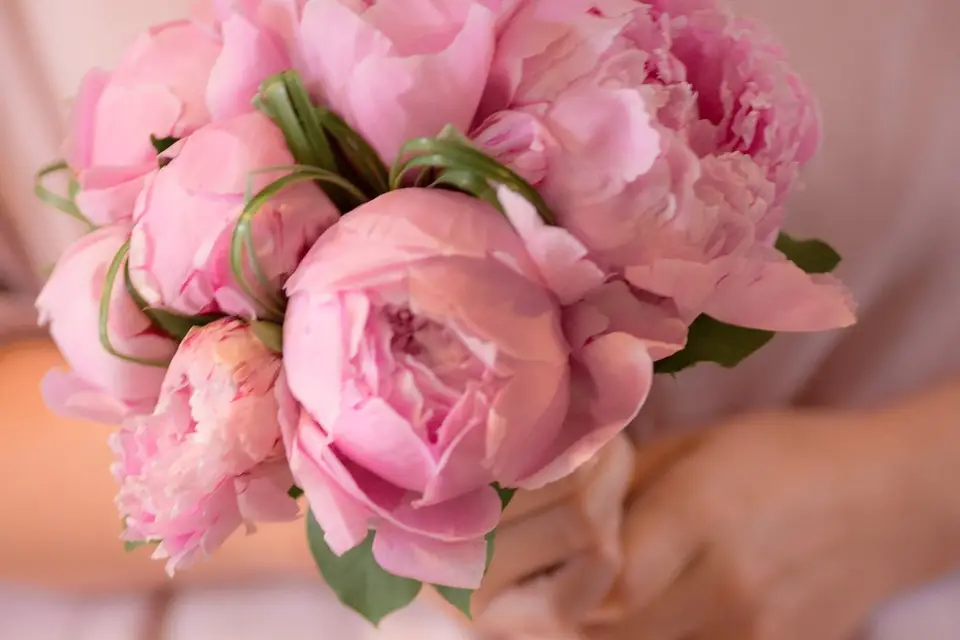 Echos de Couleurs — photo 8