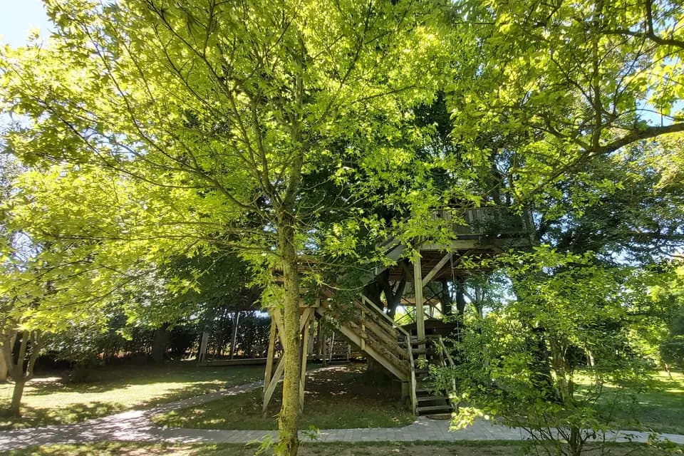 Au Refuge des 3 Ours — photo 8