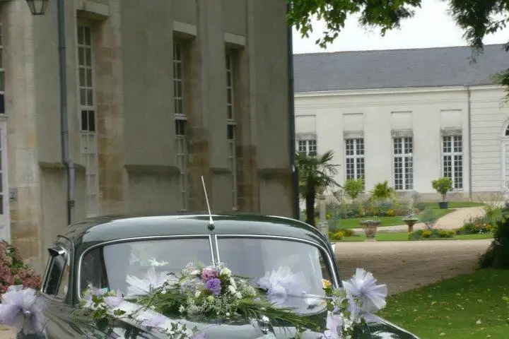 Grain de z'elles — photo 3