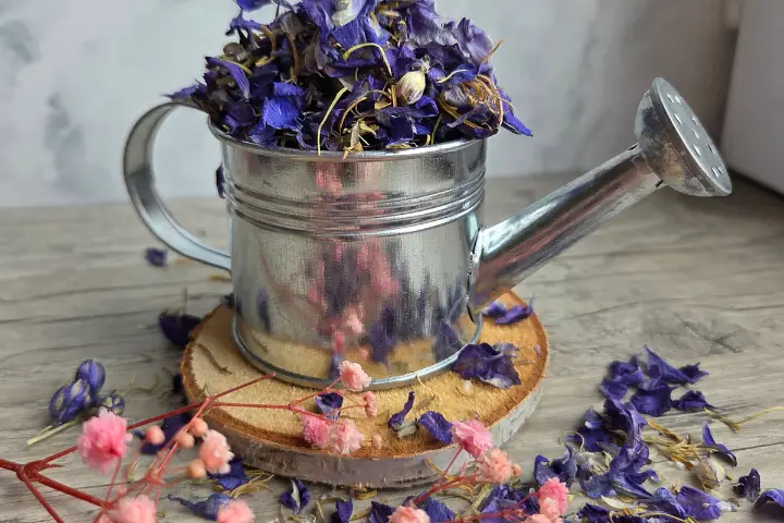 Le Jardin de Sophie — photo 2