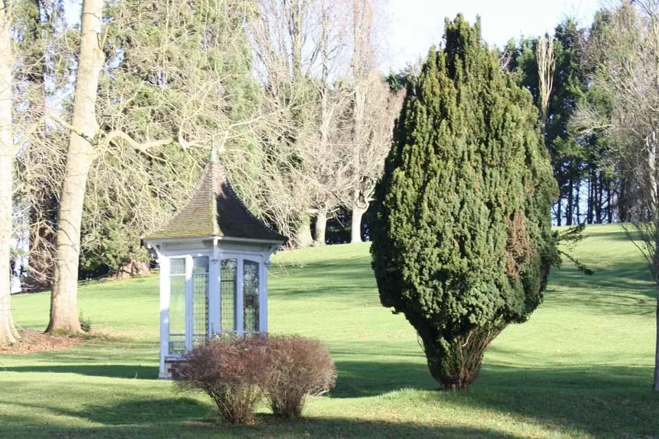 Château de la Bribourdière — photo 5