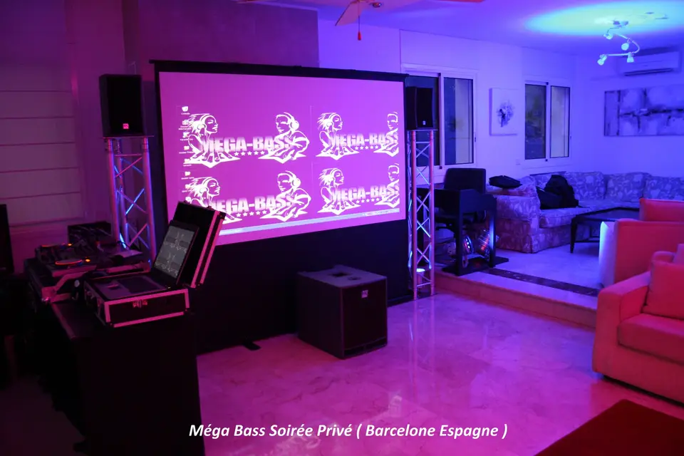 Mega Bass — photo 8