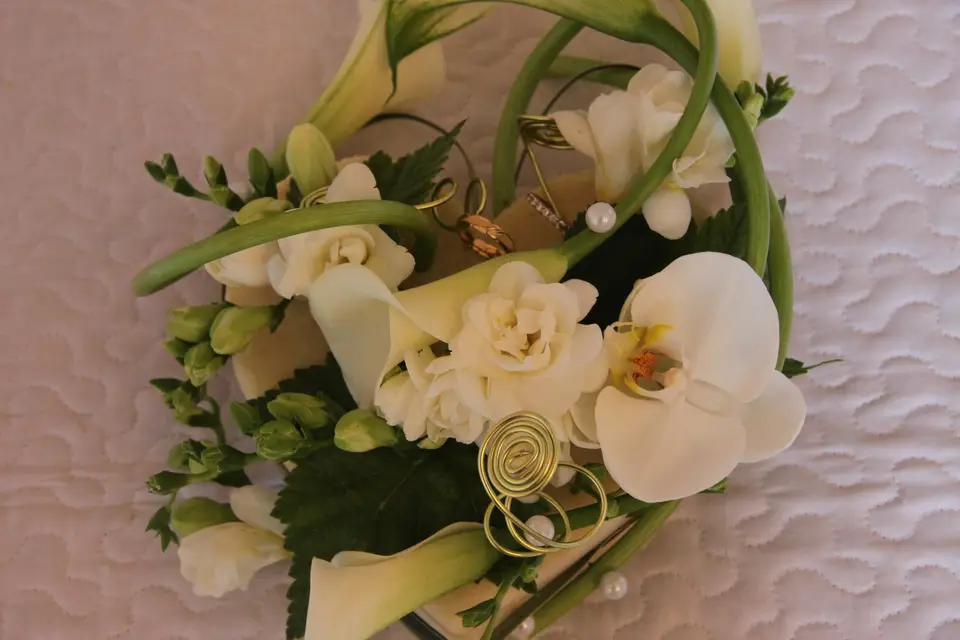 Rêve d'un Jour — photo 8