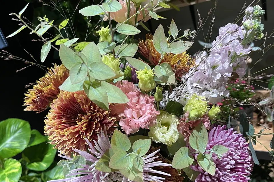 Le Jardin des Plantes — photo 5