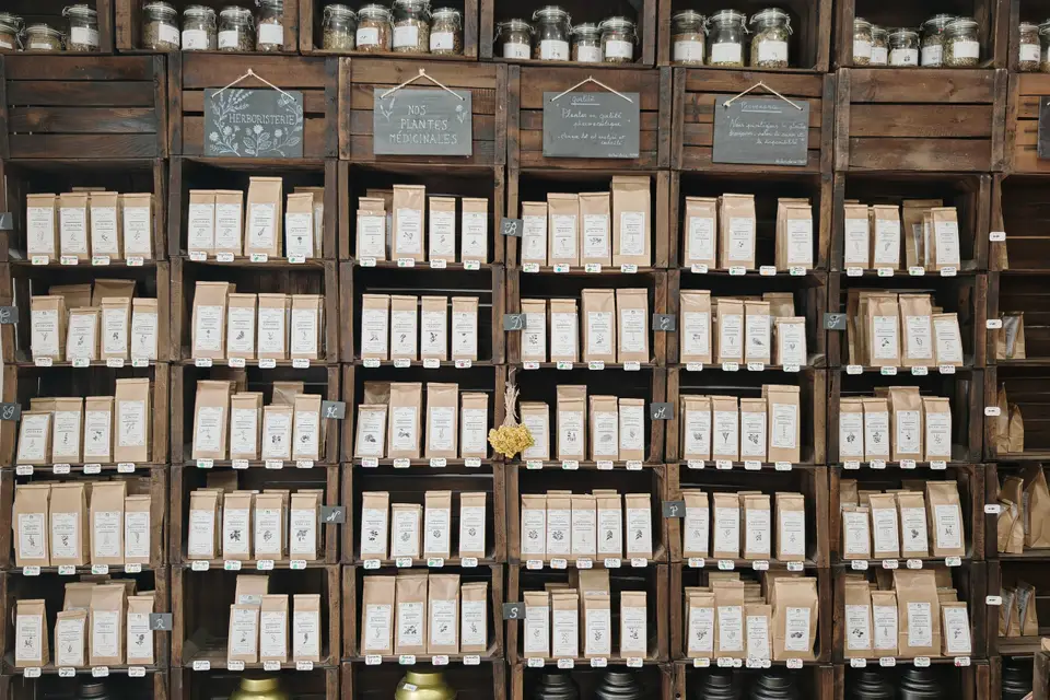 Elodie Hortensia Anday — photo 4