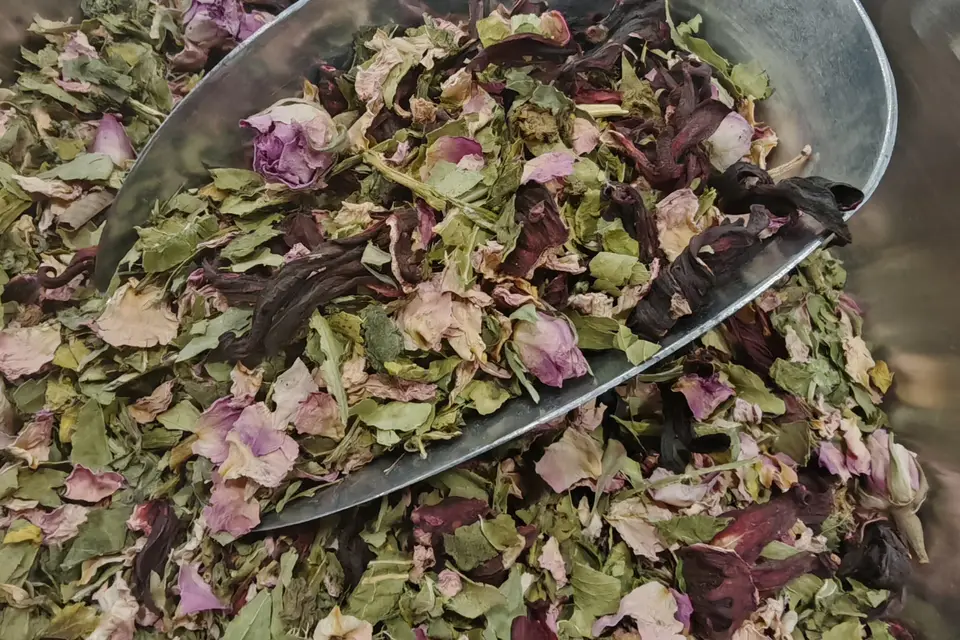 Elodie Hortensia Anday