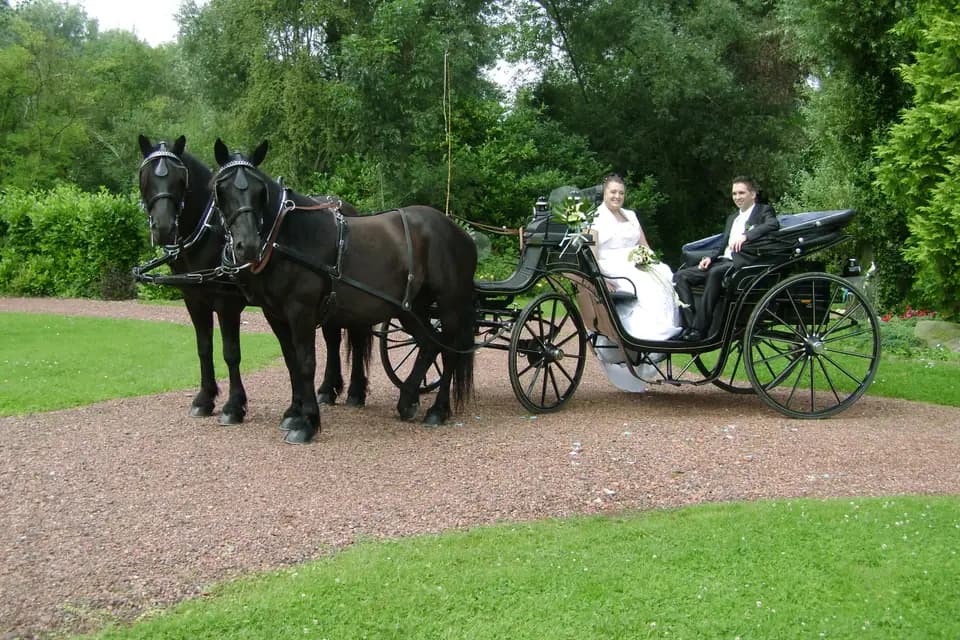 Association d'Attelage de loisir et de tradition — photo 1