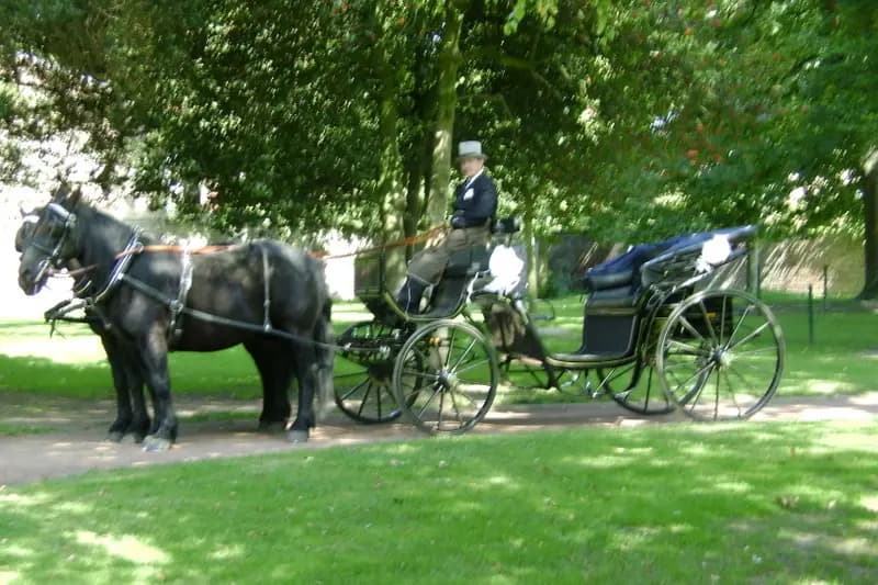 Association d'Attelage de loisir et de tradition — photo 3