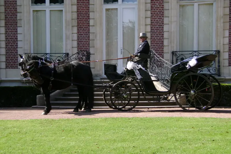 Association d'Attelage de loisir et de tradition — photo 2