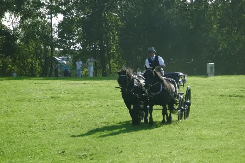 Association d'Attelage de loisir et de tradition — photo 8