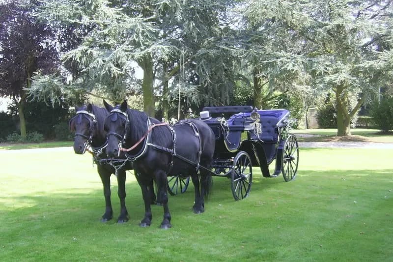 Association d'Attelage de loisir et de tradition — photo 4